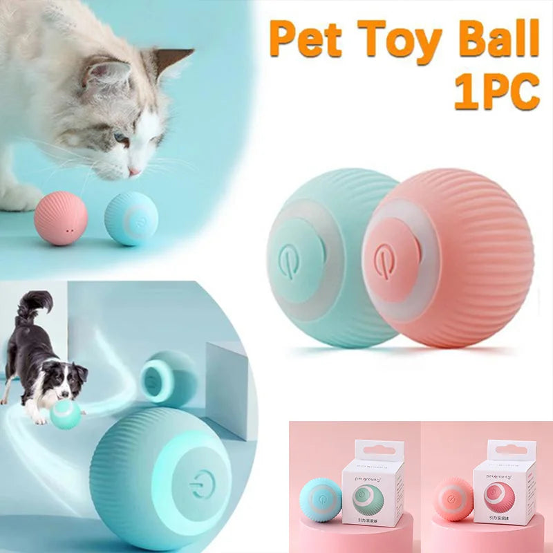 Brinquedo para gato com rolamento automático